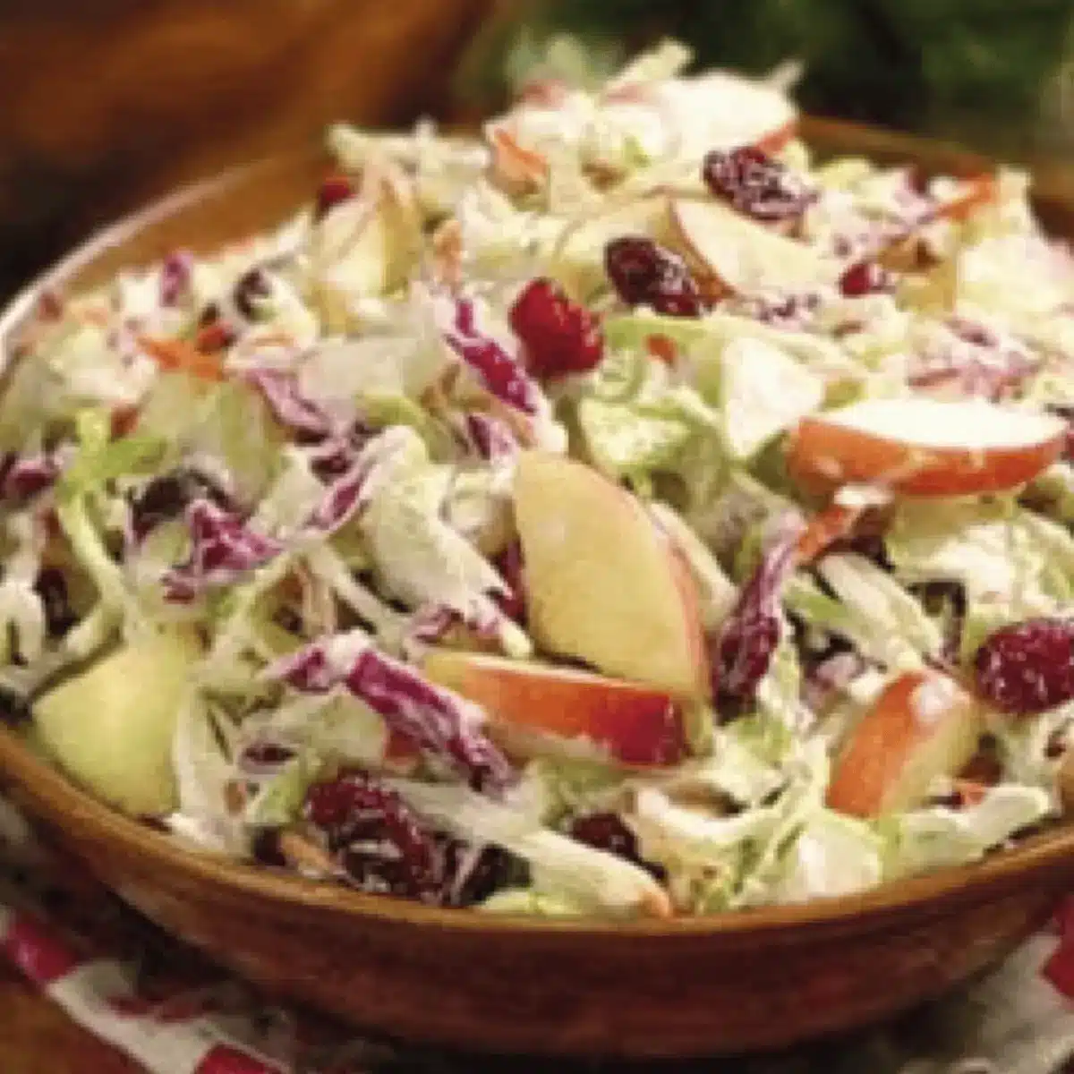 Crunchy Apple Cranberry Coleslaw for a Fresh Flavor Boost