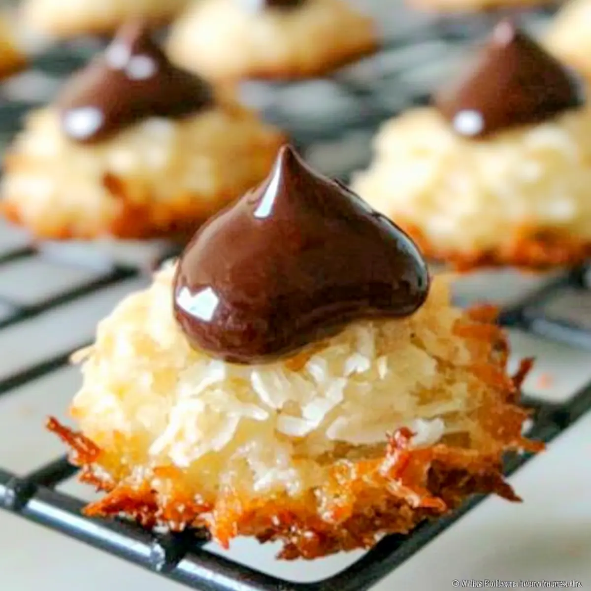 Chocolate Kissed Coconut Macaroons